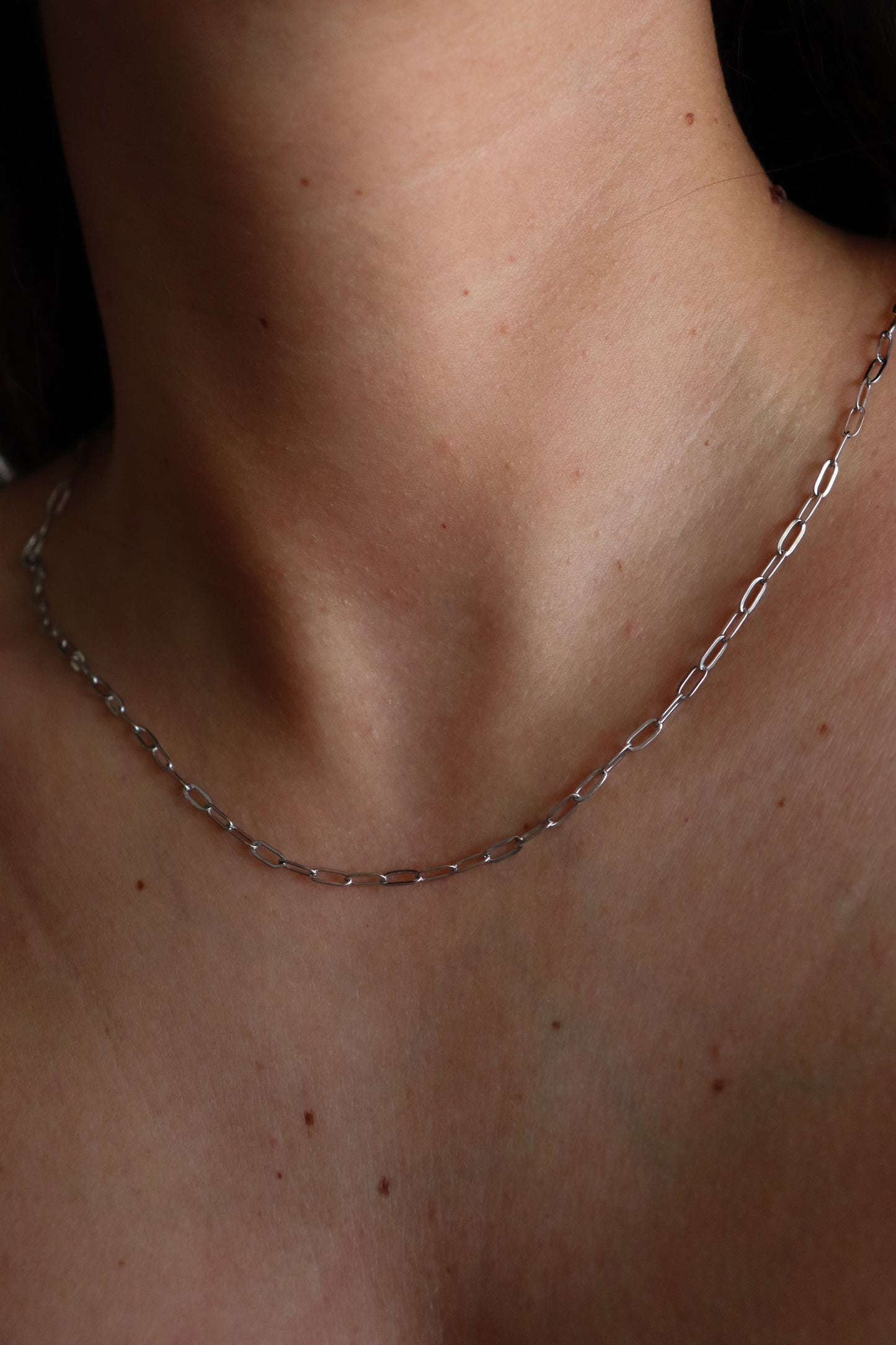 Chain Necklace Prateado